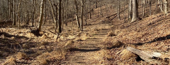 Seneca Creek Trail is one of Maryland - 2.