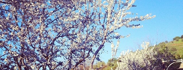 Merom Golan Tourism is one of Laura'nın Beğendiği Mekanlar.