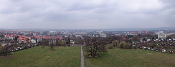 Bismarckturm is one of Dresden 1/5🇩🇪.
