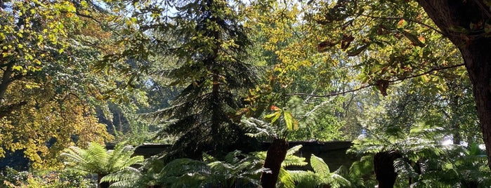 St John's Wood Church Gardens is one of London to go.