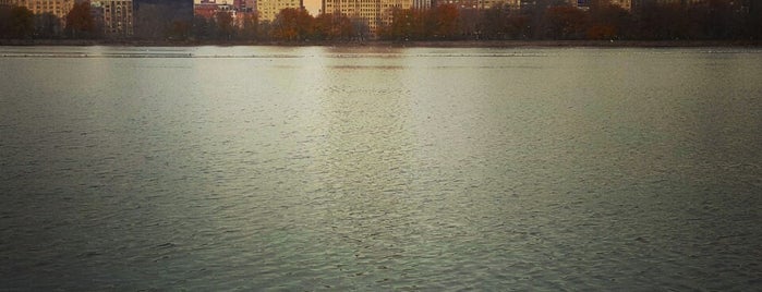 Central Park is one of สถานที่ที่บันทึกไว้ของ Shivani.