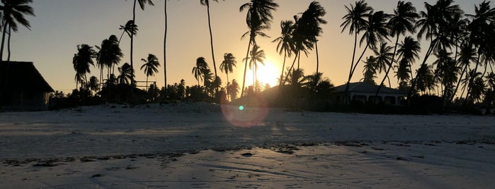 Bwejuu Beach is one of Zanzibar e Pemba.