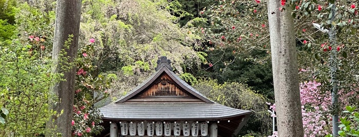 大豊神社 is one of สถานที่ที่ Mike ถูกใจ.