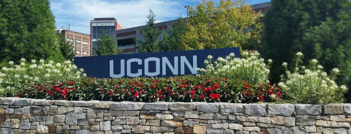 University of Connecticut is one of What to do in CT.