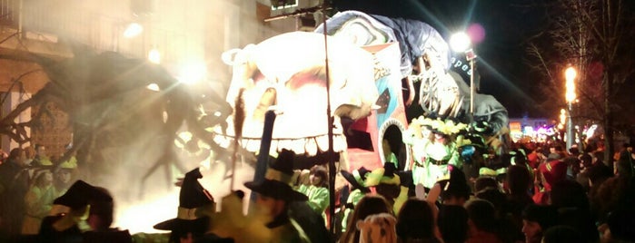 Carnaval de Torelló is one of Els meus llocs.