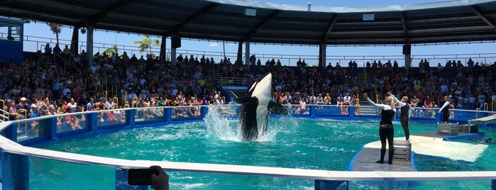Miami Seaquarium is one of Brianさんのお気に入りスポット.