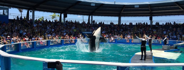 Miami Seaquarium is one of Orte, die Brian gefallen.