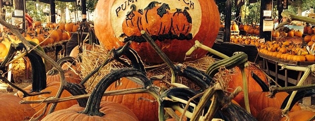 Live Oak Canyon Pumpkin Patch is one of California road trip 2014.