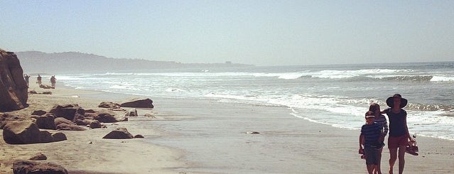 Torrey Pines State Beach is one of San Diego.