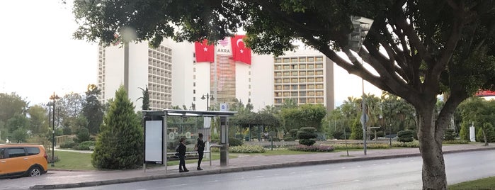 Özgürlük Parkı is one of สถานที่ที่บันทึกไว้ของ Yasemin Arzu.