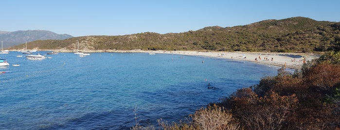 Plage de Loto is one of Corsica.