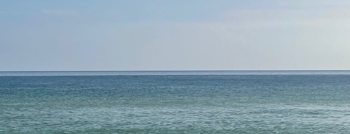 Perdido Key Beach is one of Nord-Florida Panhandle / USA.