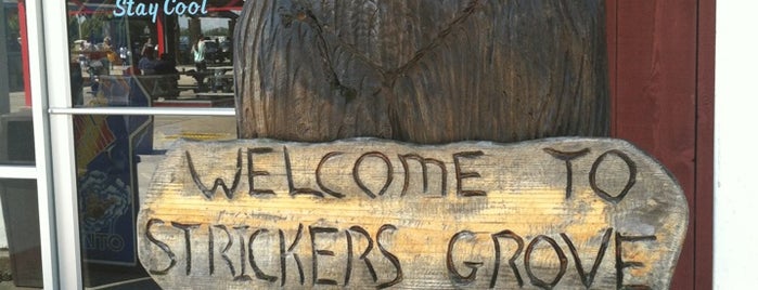 Stricker's Grove is one of Matt : понравившиеся места.