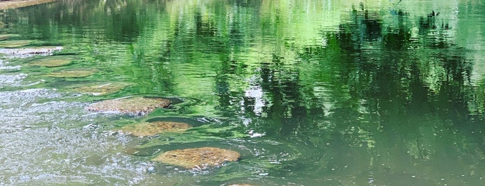 The Stepping Stones is one of Surrey pubs.