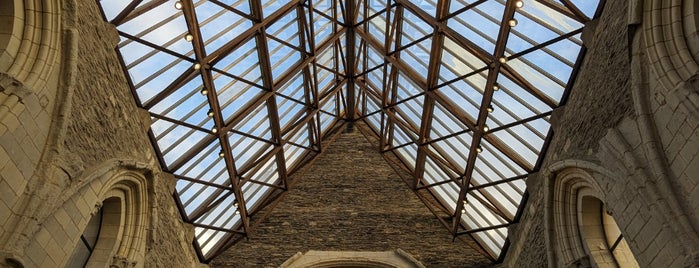 Galerie David d'Angers — Abbaye Toussaint is one of Roadtrip / Loire.