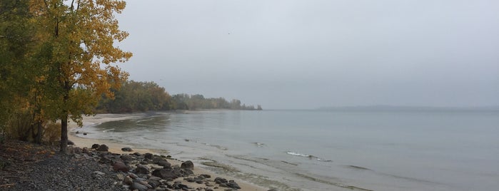 North Beach is one of Mackenzie : понравившиеся места.