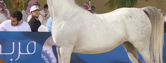 AlSayed Stud | مربط الســيد للخيل العربية الأصيلة is one of Riyadh.