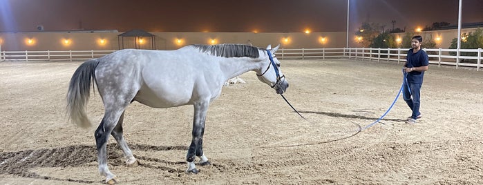 AlNemer Equestrian Center مركز النمر للفروسية is one of Equestrian club.