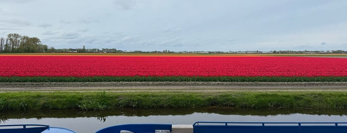 Parkeerterrein keukenhof is one of Venue da sistemare.