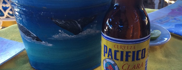 The Office is one of The 15 Best Places for Beer in Cabo San Lucas.
