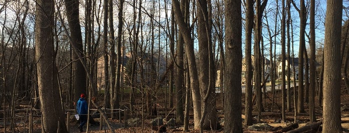 Mass Audubon Broad Meadow Brook is one of local activities.