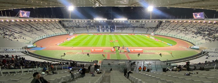 Estadio Mario Alberto Kempes is one of Estadios de Fútbol - AFA.