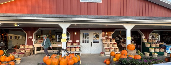 Melick's Town Farm is one of Apple-pumpkin picking.