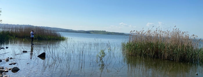 Büyükçekmece Gölü is one of İstanbul - Avrupa Yakası.