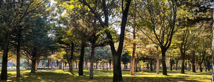 Fırat Üniversitesi is one of Lugares favoritos de 👑Serkan👑.