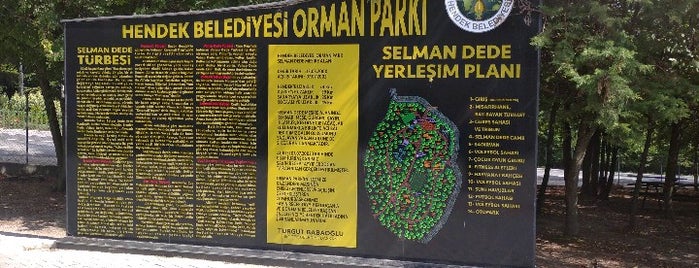 Selman Dede Piknik Alanı is one of Emrah : понравившиеся места.