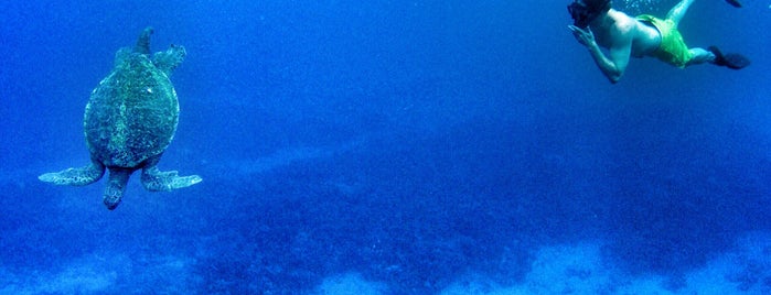 Aqua Adventures is one of Lugares favoritos de Mark.