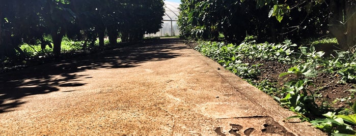 Kauai Coffee Plantation is one of Lugares favoritos de Mark.