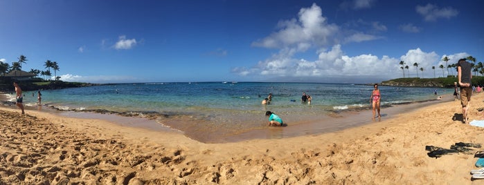 Napili Beach is one of Markさんのお気に入りスポット.