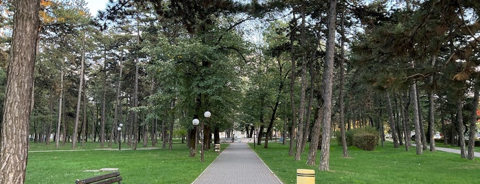 Nikšićki park is one of montenegro.