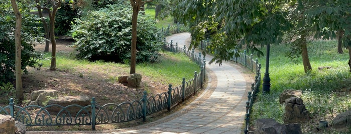 Zhongshan Park is one of HaZi.