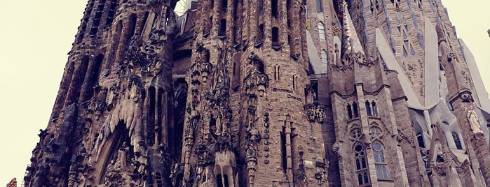 The Basilica of the Sagrada Familia is one of Alo’s Liked Places.