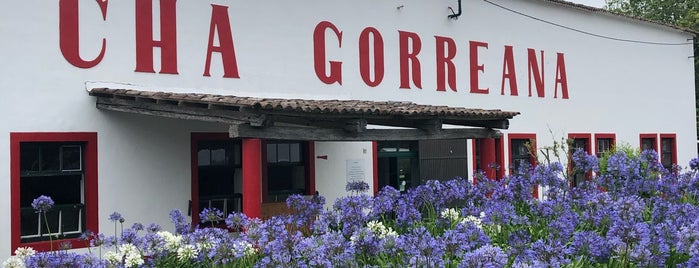 Chá Gorreana is one of Sao Miguel (Azores).