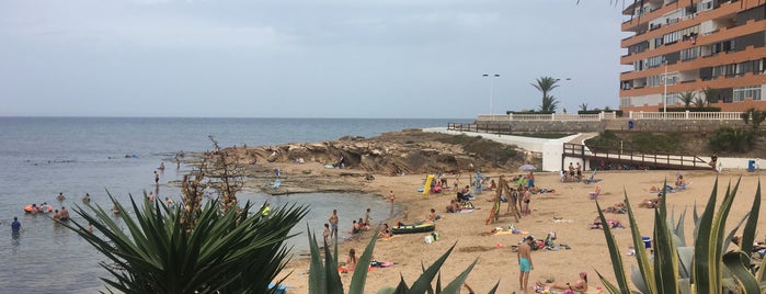Barlovento is one of Torrevieja.