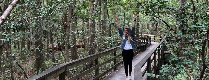 Congaree National Park is one of US National Parks.