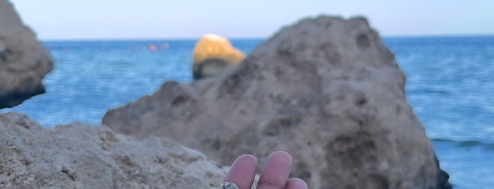 Monte Carlo Sharm El Sheikh Resort is one of Nikolay: сохраненные места.