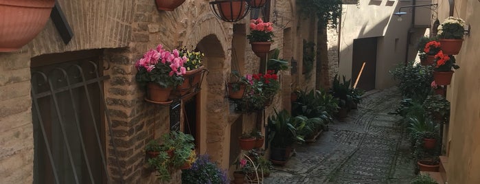 Spello is one of Umbria by gem.