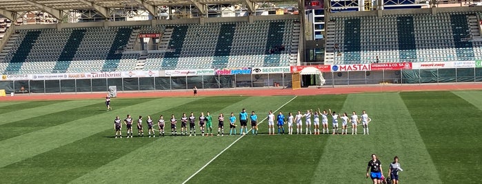 Stadio Cornaredo is one of Fussballstadien Schweiz.