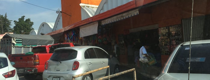 Mercado Del Carmen is one of สถานที่ที่บันทึกไว้ของ Luis.