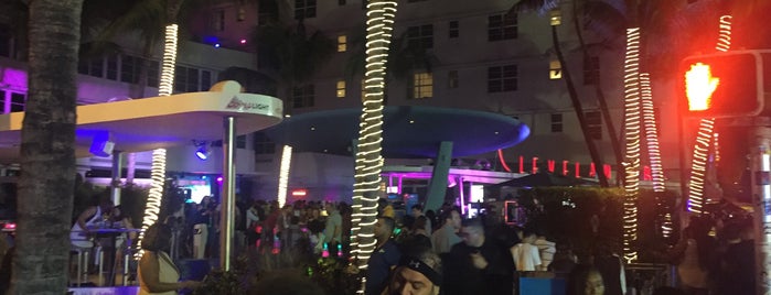 Clevelander South Beach Hotel and Bar is one of Şakirさんのお気に入りスポット.