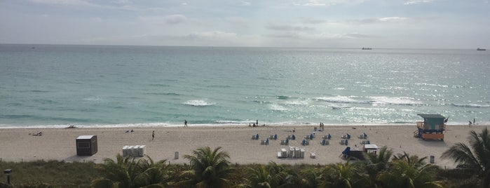 Miami Beach is one of Lieux qui ont plu à Şakir.