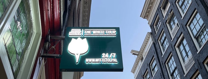 The White Tulip is one of Amsterdam.