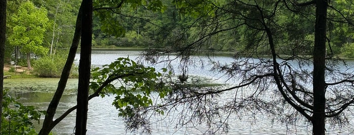 Reedy Creek Park is one of Charlotte- Parks.