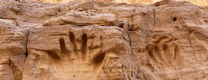 The White Canyon is one of Stanisław 님이 좋아한 장소.