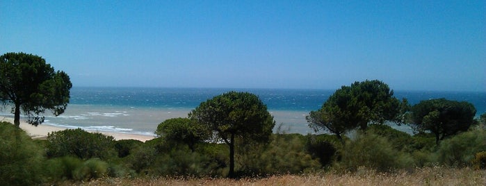 Parque Natural La Breña is one of Andalucía: Cádiz.