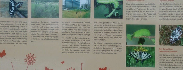 Schmetterlingswiese is one of Wien.